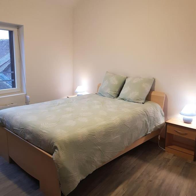 הוילה Beaulieu-sur-Loire Chez Nino Wifi Gratuit מראה חיצוני תמונה