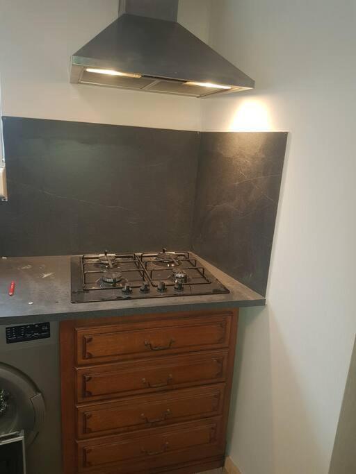 הוילה Beaulieu-sur-Loire Chez Nino Wifi Gratuit מראה חיצוני תמונה